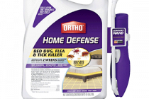 Review the Best Bed Bug Killer 2022 – Consumer Reports