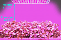 Top 5 Best Led Grow Lights Review 2022 – Consumer Reports